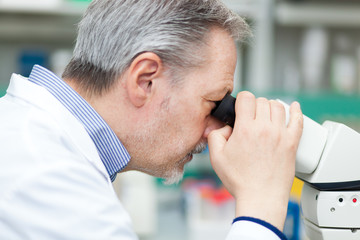 Scientist conducting research looking through microscope