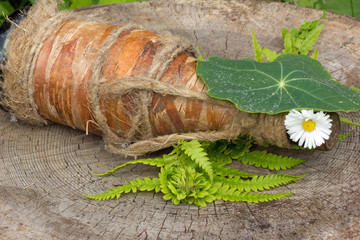 маргаритка  под листиком © tvetchinina