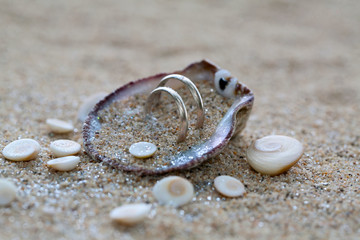 Wedding rings in sea shell on the coral beach