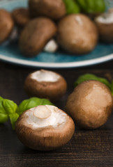 Champignons