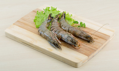 Raw tiger shrimps