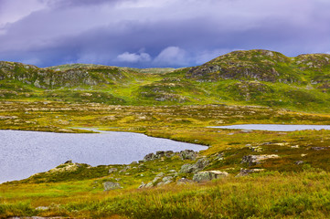 Fototapeta na wymiar River in Buskerud region of Norway