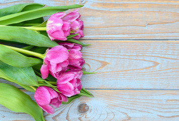 Fototapeta na wymiar Row of pink tulips on old wood with empty space