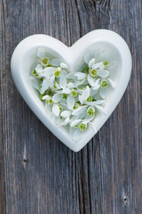 Herz mit Schneeglöckchen