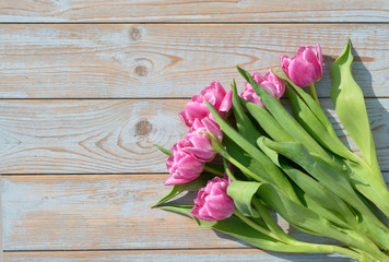 Bunch of pink tulips in the sun on old knotted wood