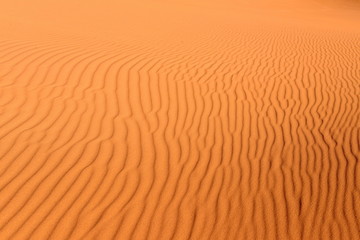 Desert background