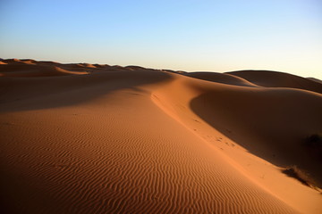 Obraz na płótnie Canvas Desert