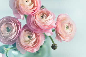 Bouquet of pink ranunculus in vase - obrazy, fototapety, plakaty