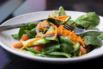 Salad plate on dark background