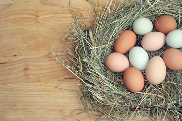 Osternest