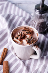 Cup of cocoa with marshmallows