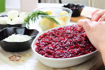 Russian traditional salad 'herring under fur coat'