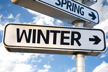 Winter direction sign on sky background