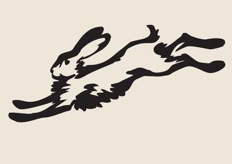 Fototapeta premium Running hare