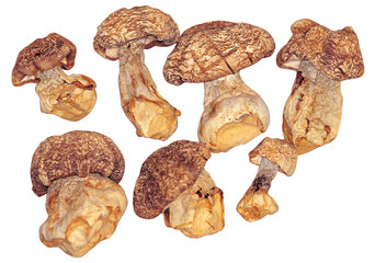 한의학 컨셉포토