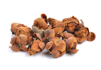 Indian rose chestnut herb on white background