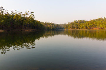 Fototapeta na wymiar woods in a lake