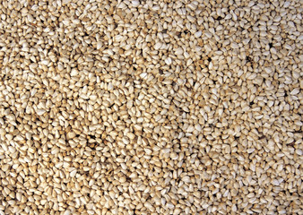 식재료 배경이미지