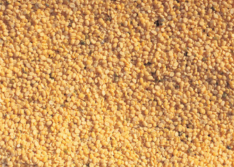 식재료 배경이미지