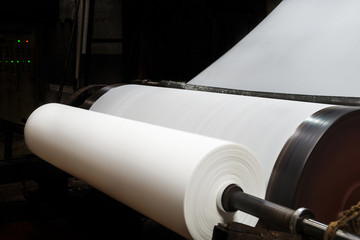 Paper and pulp mill