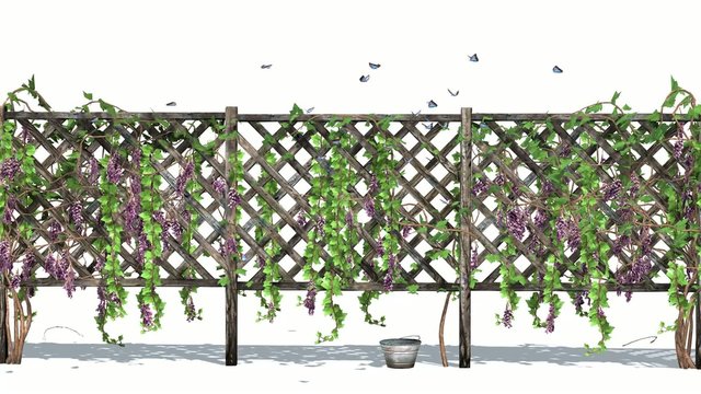 fence with vine tendrils and butterflies