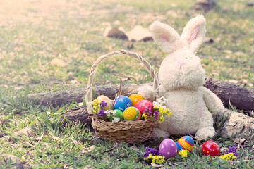 Colorful easter eggs in basket with cute rabbit on the green gra