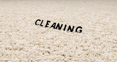 Fototapeta na wymiar the image of the cleaning carpet