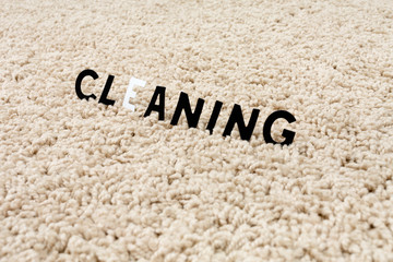 Fototapeta na wymiar the image of the cleaning carpet