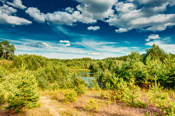 Green Summer Forest, Russian Nature