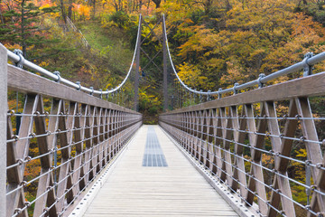 那須塩原　七ッ岩の吊橋