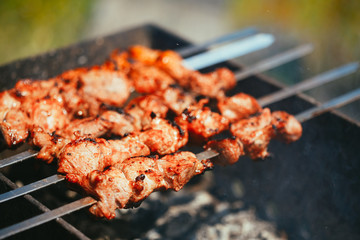 Grilled marinated caucasus barbecue meat shashlik shish kebab