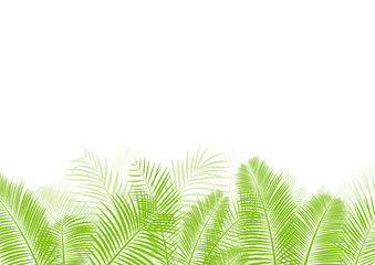 Palm tree leaf vector background