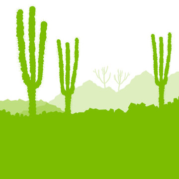 Cactus desert, ecology concept