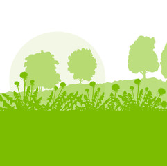 Spring landscape with dandelions flowers vector background green