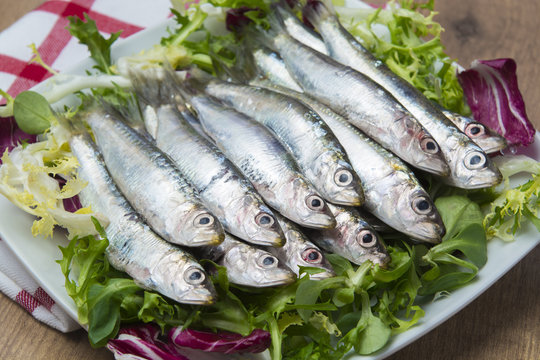 Sardinillas frescas