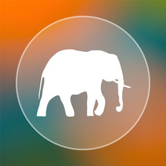 Elephant icon