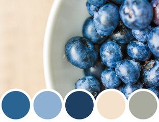Color Palette Of Fresh Blueberries In White Bowl