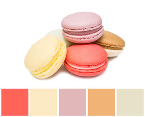 Color Palette Of Sweet French Macaroons