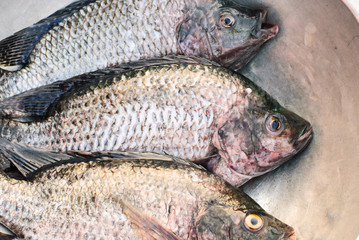 Fresh fish
