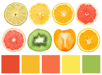 Color Palette Of Healthy Fruit Slices Collection Isolated