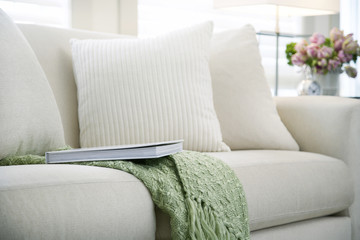 Living room sofa with pillows coffee and book