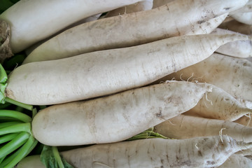 Daikon radish for sale in market.