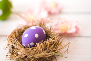 Easter eggs in a bird's nest