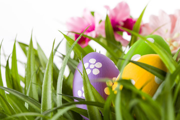 Easter colored eggs on the green grass.