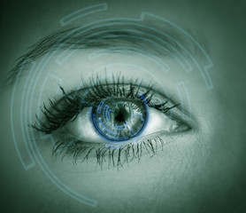 Fototapeta premium Eye viewing digital information. Conceptual image.