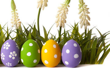 Easter eggs on green grass