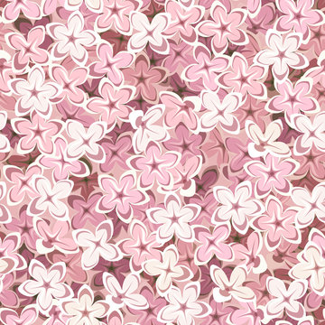 Fototapeta Bezszwowe tło z różowe kwiaty bzu. Ilustracji wektorowych