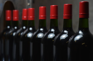 Wine bottles preparation