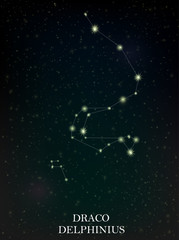 Obraz na płótnie Canvas Draco and Delphinius constellation
