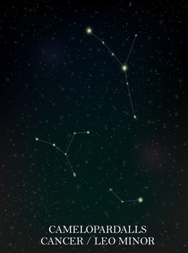 Camelopardalls and Cancer, Leo Minor constellation